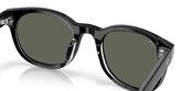 Costa Del Mar 6S2018 MIDDLES Sunglasses
