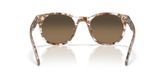 Costa Del Mar 6S2018 MIDDLES Sunglasses
