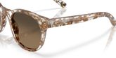 Costa Del Mar 6S2018 MIDDLES Sunglasses