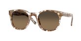 Costa Del Mar 6S2018 MIDDLES Sunglasses