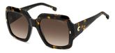 Carrera 3004/S Sunglasses