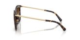 Michael Kors MK2079U ZERMATT Sunglasses
