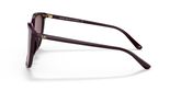 Michael Kors MK2137U ANAHEIM Sunglasses