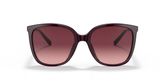 Michael Kors MK2137U ANAHEIM Sunglasses