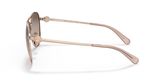 Coach HC7128 C6178 Sunglasses