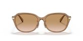 Coach HC8332D C6199 Sunglasses