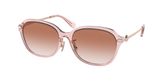 Coach HC8332D C6199 Sunglasses