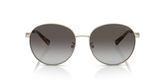 Michael Kors MK1119 ALPINE Sunglasses