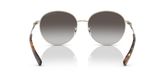 Michael Kors MK1119 ALPINE Sunglasses