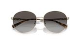 Michael Kors MK1119 ALPINE Sunglasses