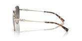 Michael Kors MK1119 ALPINE Sunglasses