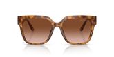 Michael Kors MK2170U KARLIE Sunglasses