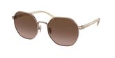 Coach HC7147 CH556 Sunglasses