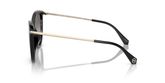 Michael Kors MK2184U DUPONT Sunglasses