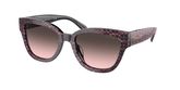 Coach HC8379U CL920 Sunglasses