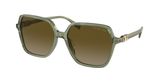 Michael Kors MK2196U JASPER Sunglasses
