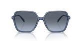 Michael Kors MK2196U JASPER Sunglasses