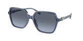Michael Kors MK2196U JASPER Sunglasses