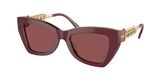 Michael Kors MK2205 MONTECITO Sunglasses