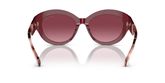 Michael Kors MK2204U BRUSSELS Sunglasses