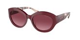 Michael Kors MK2204U BRUSSELS Sunglasses
