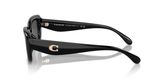 Coach HC8390U CR610 Sunglasses