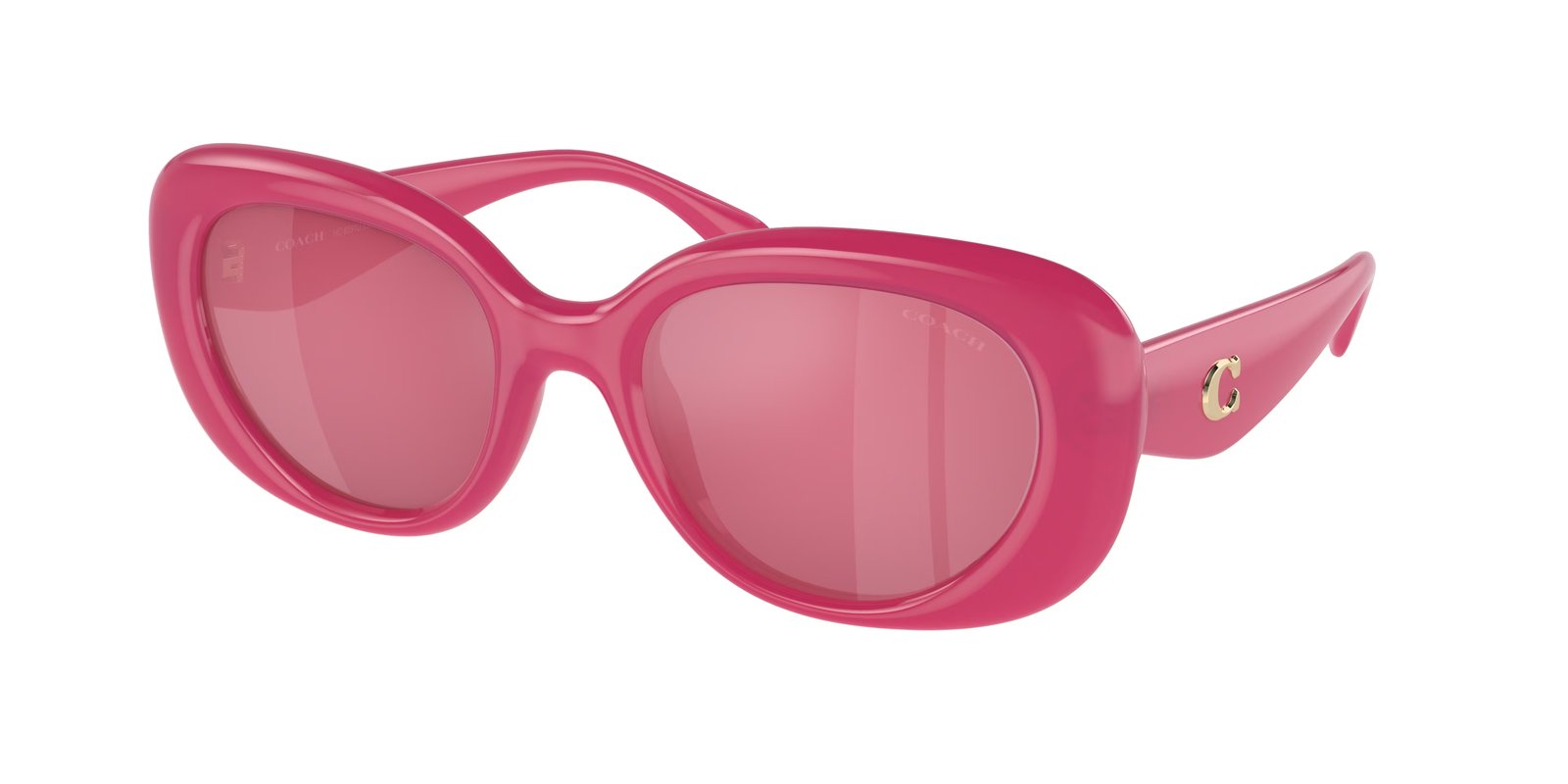 Coach HC8391U CR609 Sunglasses
