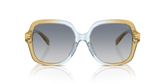 Coach HC8395U CR614 Sunglasses
