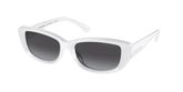 Michael Kors MK2210U ASHEVILLE Sunglasses