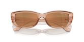 Michael Kors MK2210U ASHEVILLE Sunglasses