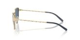 Tory Burch TY6110 Sunglasses