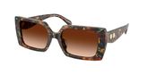 Coach HC8409U CW224 Sunglasses