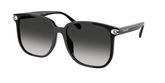 Coach HC8413BD CW419 Sunglasses