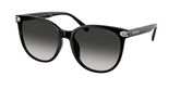 Coach HC8414BD CW428 Sunglasses