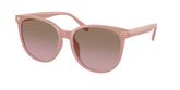 Coach HC8414BD CW428 Sunglasses