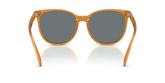 Coach HC8414BD CW428 Sunglasses