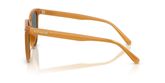 Coach HC8414BD CW428 Sunglasses