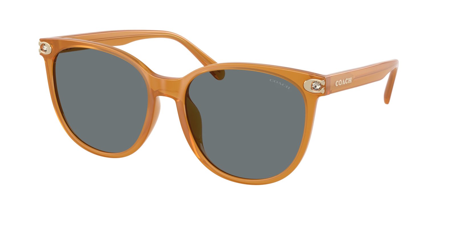 Coach HC8414BD CW428 Sunglasses
