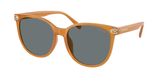 Coach HC8414BD CW428 Sunglasses