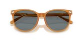 Coach HC8414BD CW428 Sunglasses