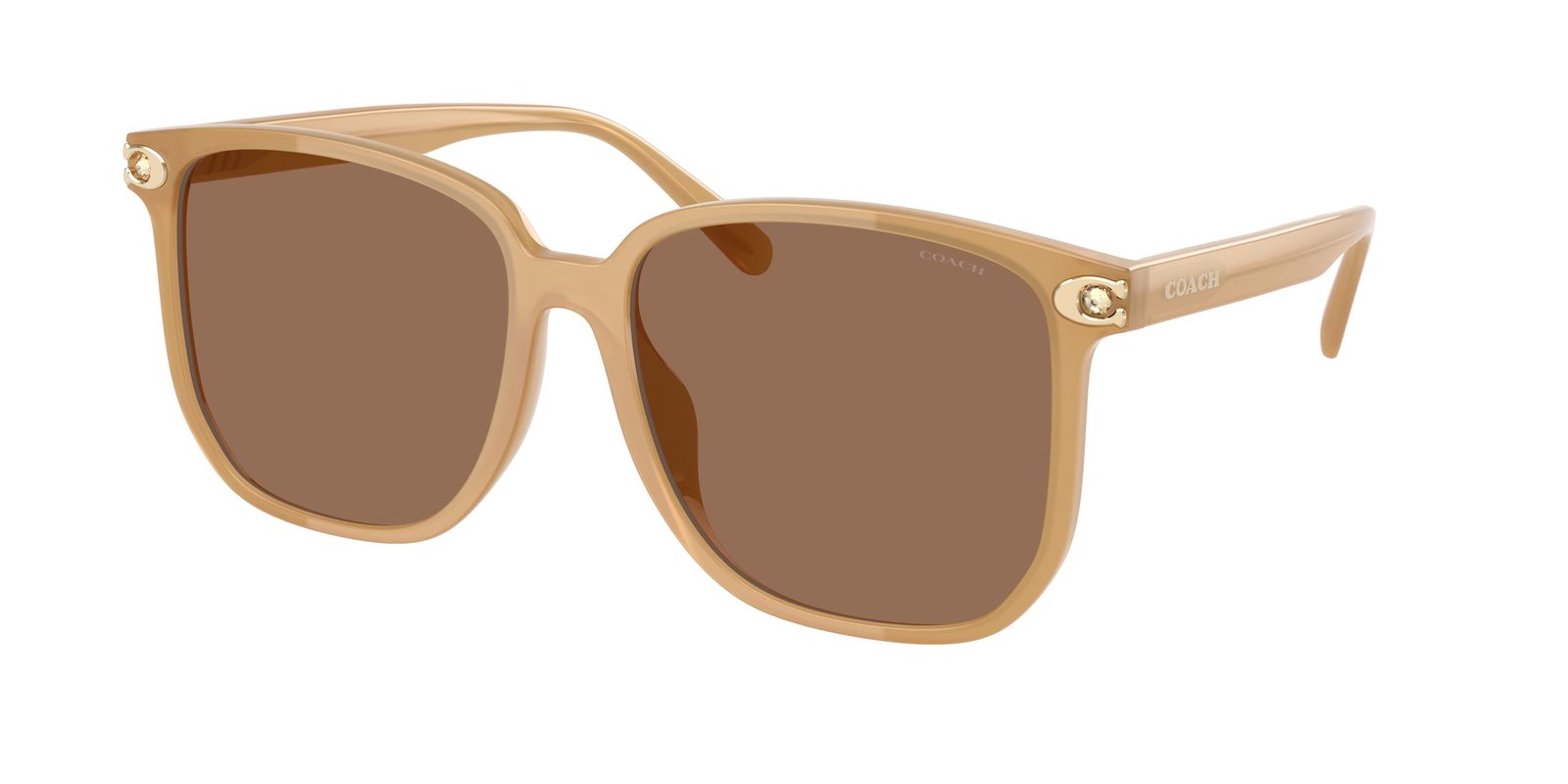 Coach HC8413BD CW419 Sunglasses