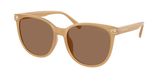 Coach HC8414BD CW428 Sunglasses
