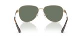 Michael Kors MK1160 BIARRITZ Sunglasses