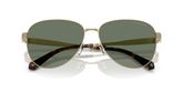 Michael Kors MK1160 BIARRITZ Sunglasses
