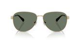 Michael Kors MK1160 BIARRITZ Sunglasses