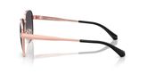Michael Kors MK1160 BIARRITZ Sunglasses
