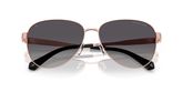 Michael Kors MK1160 BIARRITZ Sunglasses
