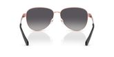 Michael Kors MK1160 BIARRITZ Sunglasses
