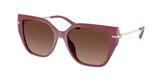Michael Kors MK2231U ST. BARTHS Sunglasses