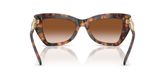 Michael Kors MK2205 MONTECITO Sunglasses